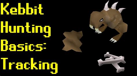 kebbity tuft|Basic Kebbit Hunting Guide 2019 (OSRS) .